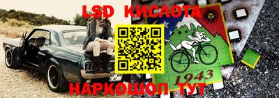 гидра Вязьма