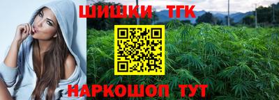 гидра Вязьма