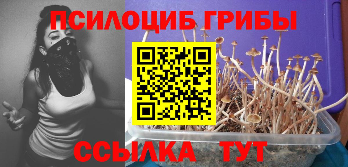 Галлюциногенные грибы GOLDEN TEACHER  Вход с VPN  Псилоцибиновые грибы Psilocybine cubensis  Ногинск 